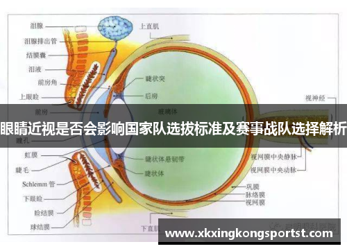 眼睛近视是否会影响国家队选拔标准及赛事战队选择解析